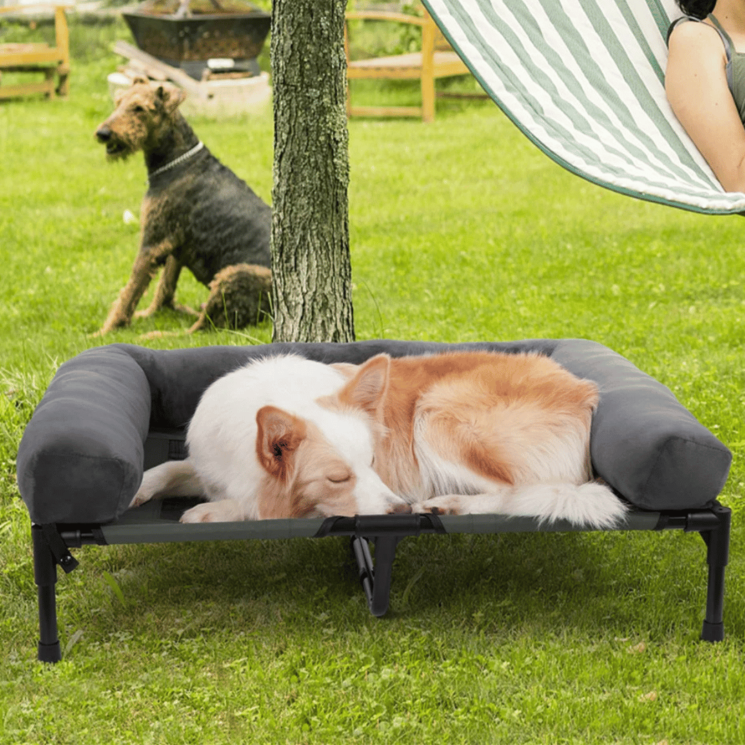 Big Orthopedic Dog Bed for Extra Large Breeds